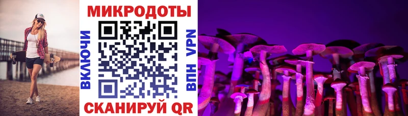 дарнет шоп  Карабулак  Псилоцибиновые грибы мицелий 